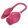 Rose Red
