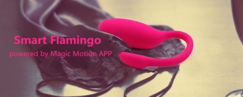Flamingo Smart APP - Image 3