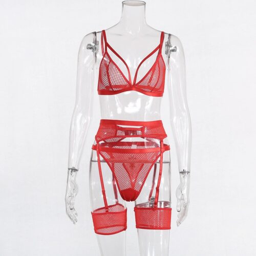 Cassie Sexy Mesh Lingerie - Image 35