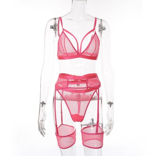 Cassie Sexy Mesh Lingerie - Image 13