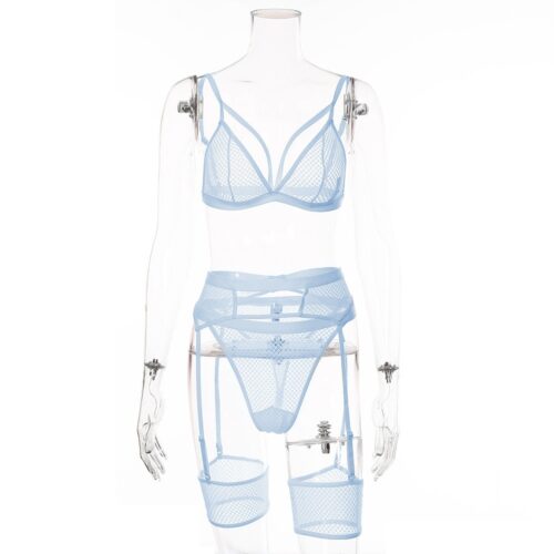 Cassie Sexy Mesh Lingerie - Image 25